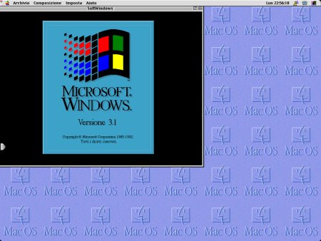 037-S10-SoftWindows.png.medium.jpeg