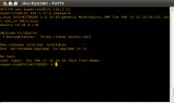 120-S22-Netboot (NetBSD)-Ssh.png.small.jpeg