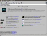 064-S33-Netscape.png.small.jpeg