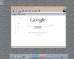 095-S39-Netscape.png.small.jpeg