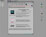 119-S34-Netscape.png.small.jpeg