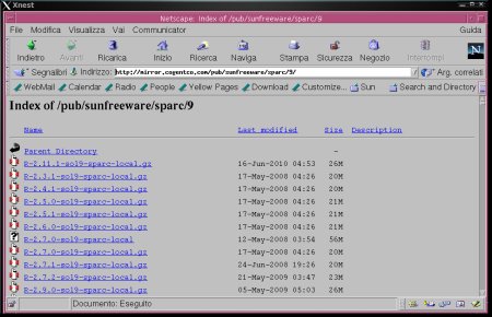 069-S28-Xnest Netscape.png.medium.jpeg