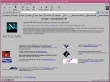072-S31-Netscape.png.small.jpeg
