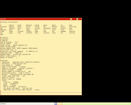 109-S43-xdpyinfo.gif.medium.jpeg