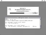 042-S06-Boot.png.small.jpeg