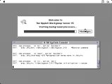 044-S08-Boot.png.small.jpeg